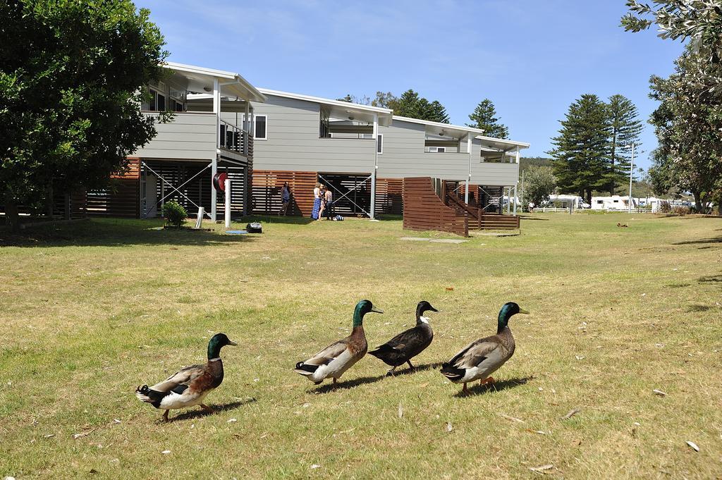 Nrma Sydney Lakeside